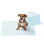 Bodenschutz & Unterlagen für Hunde